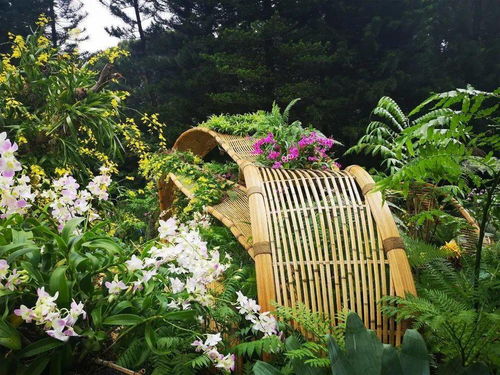 文科大講堂丨現(xiàn)代竹編在公共藝術(shù)景觀中的運(yùn)用