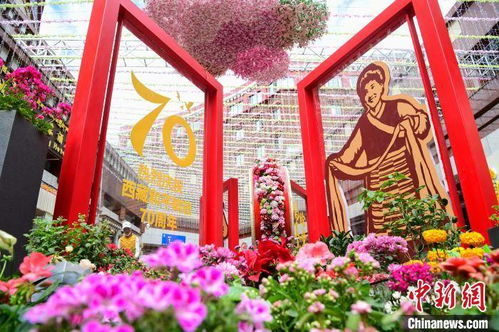 西藏首屆花卉藝術旅游文化開幕 數(shù)萬鮮花綻放雪域高原