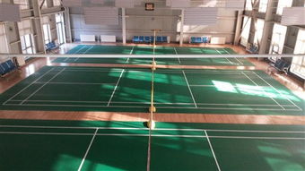專注品質，服務運動——北京達森運動木地板有限責任公司